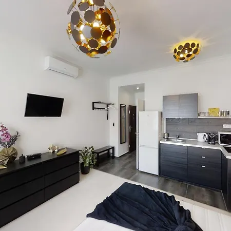 Apartament Black Baron *