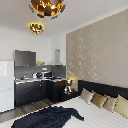 Apartament Black Baron *