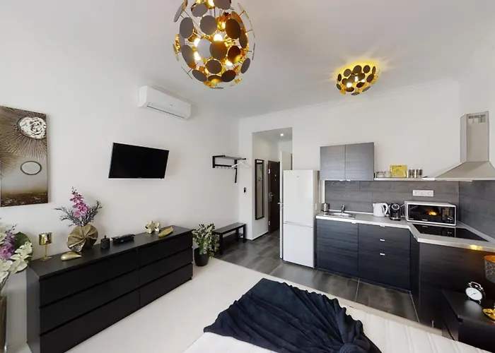Apartament Black Baron *